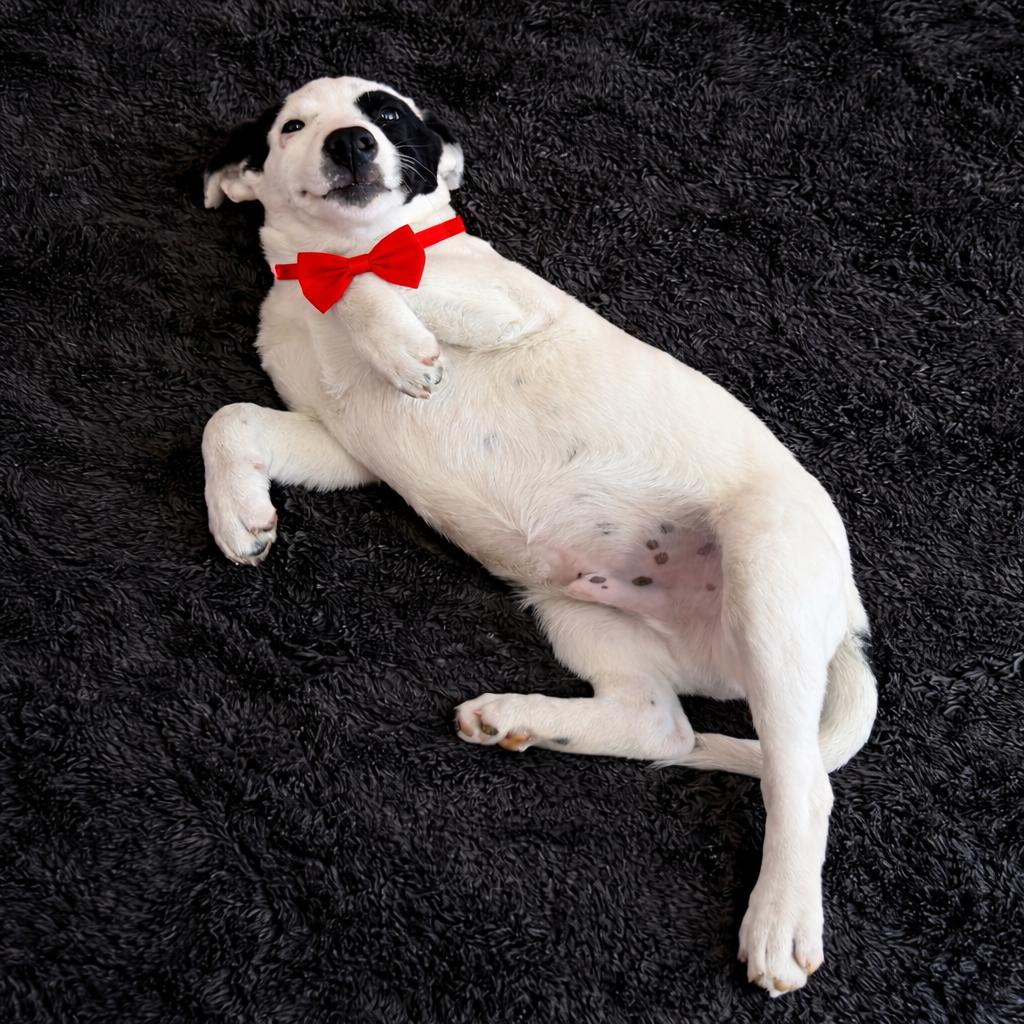 Phil — thumbnail 3