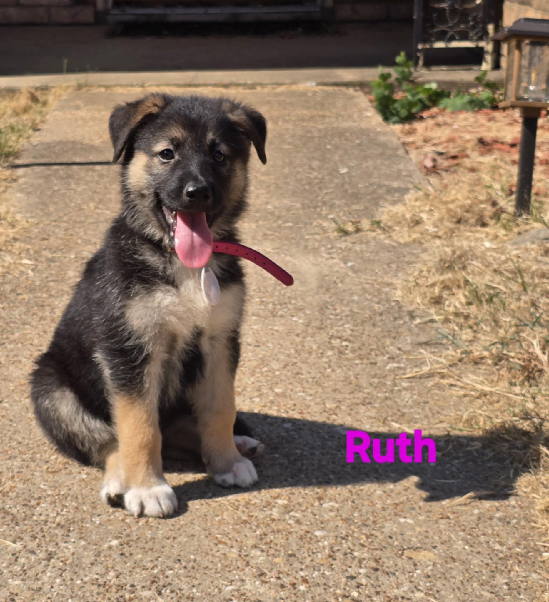 Ruth