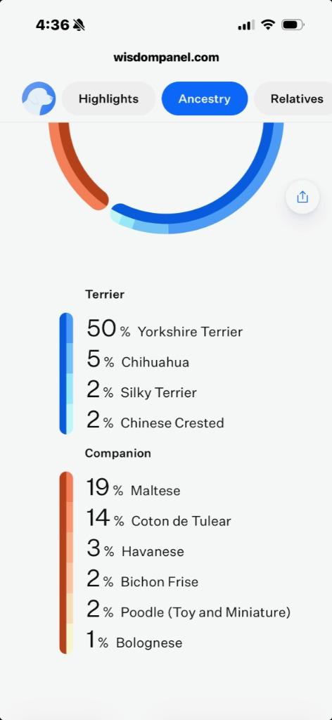 Enlarge Skittles, an adopted Mixed Breed in Archbold , OH image 2/4
