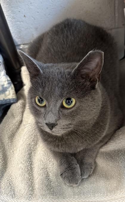 Claire — thumbnail 3