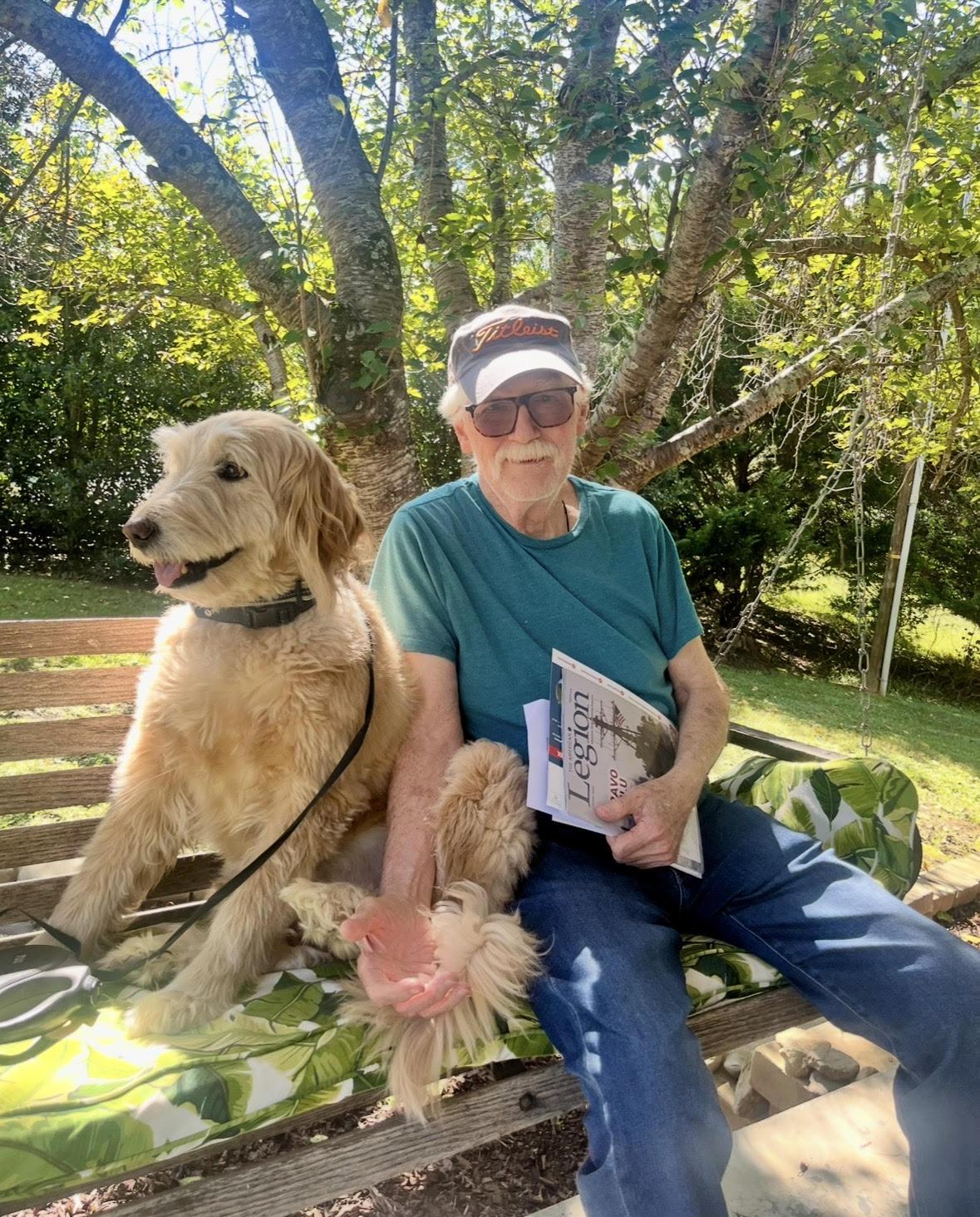 Enlarge Bella, a ADOPTABLE Goldendoodle in Richmond, VA image 2/5