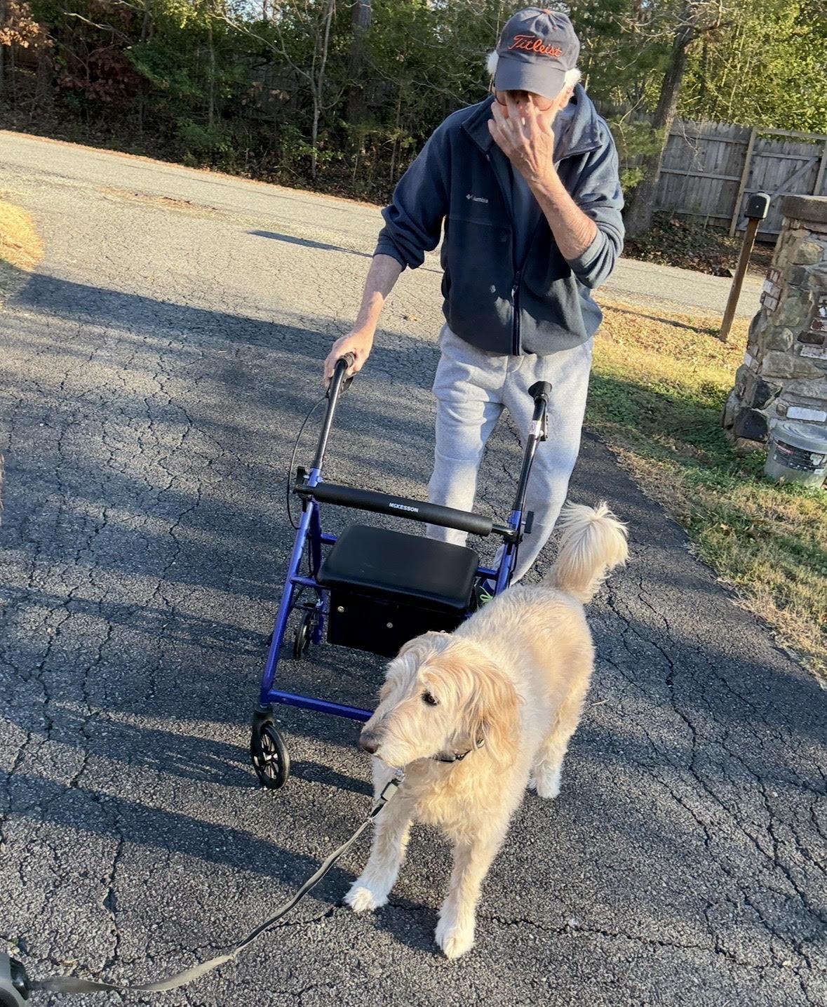 Enlarge Bella, a ADOPTABLE Goldendoodle in Richmond, VA image 1/5