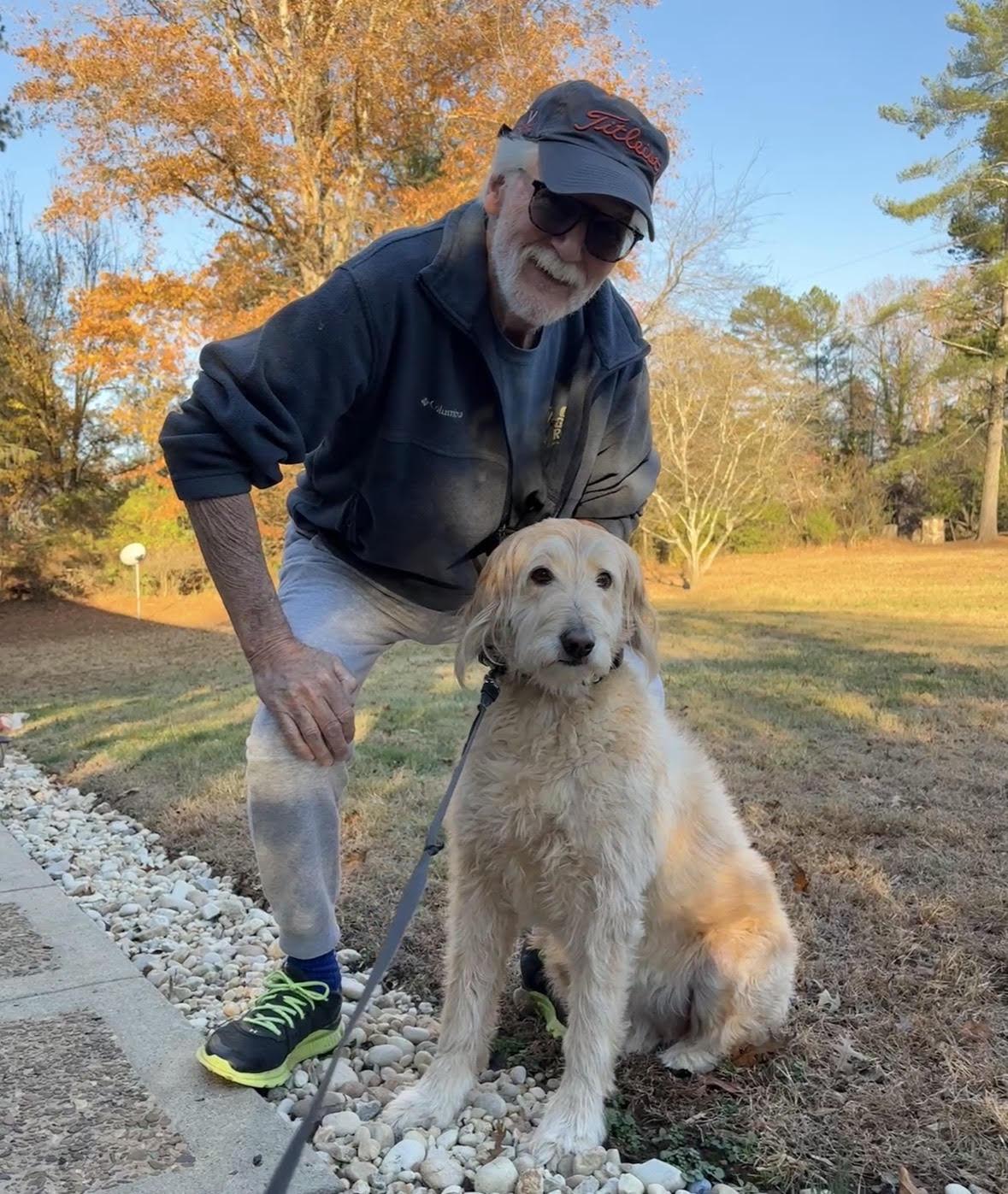Enlarge Bella, a ADOPTABLE Goldendoodle in Richmond, VA image 4/5