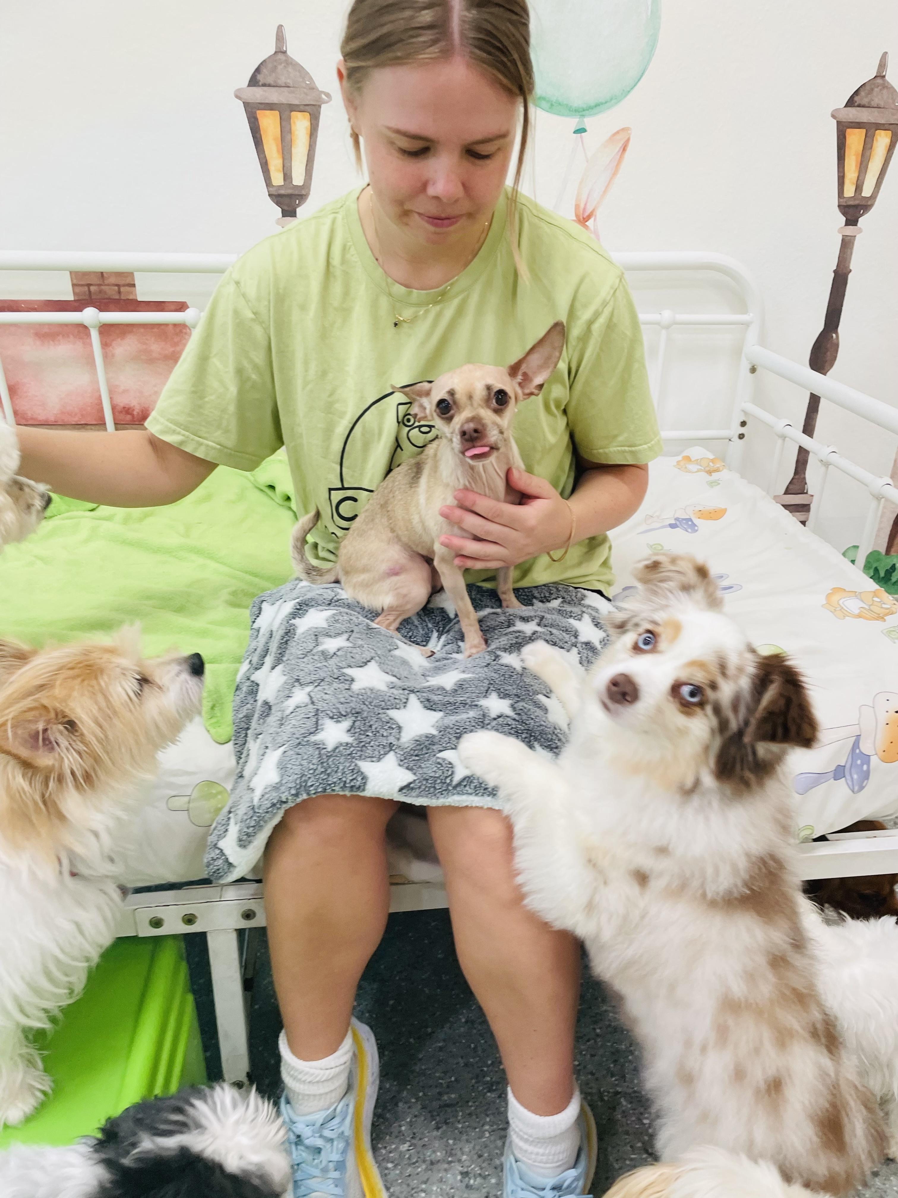 Betty, a Adoptable mixed breed in Rancho Santa Margarita, CA image 2/6