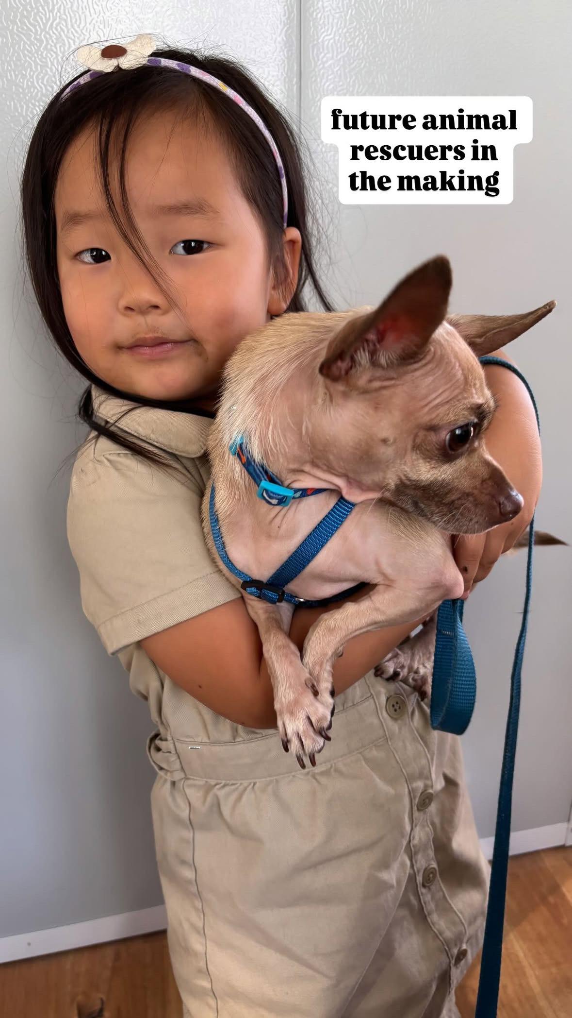 Betty, a Adoptable mixed breed in Rancho Santa Margarita, CA image 3/6