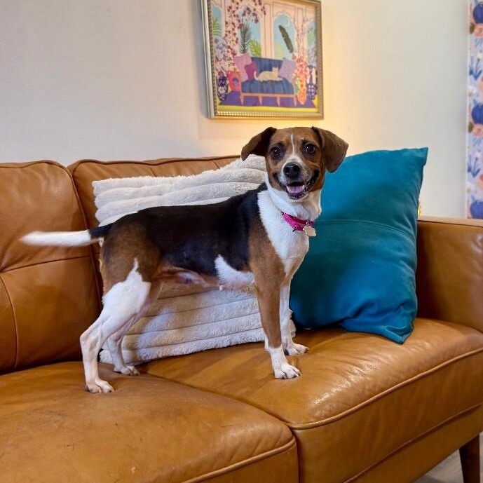 Katniss Everdeen the Ever so Fabulous Cutie — thumbnail 5