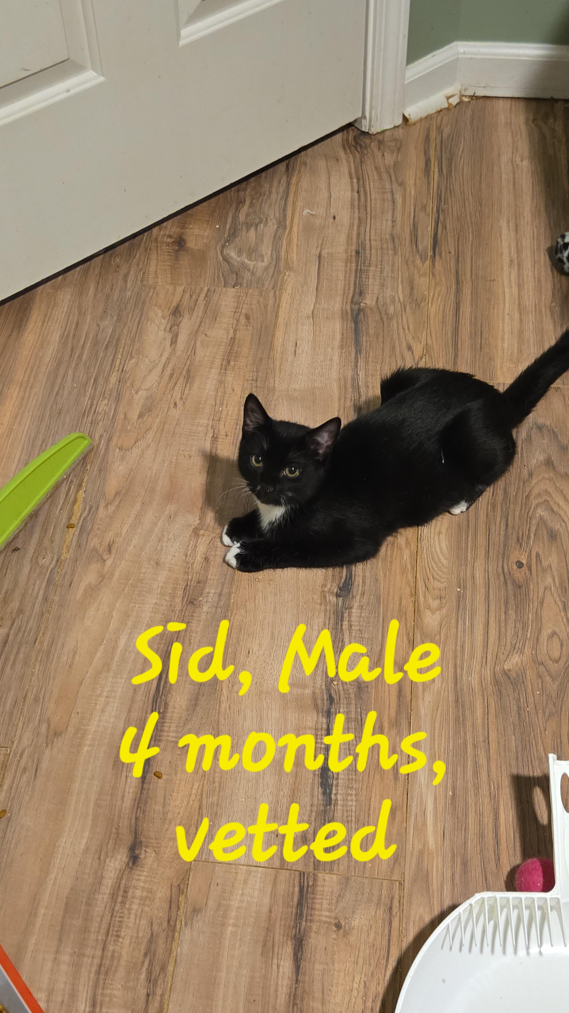 Sid
