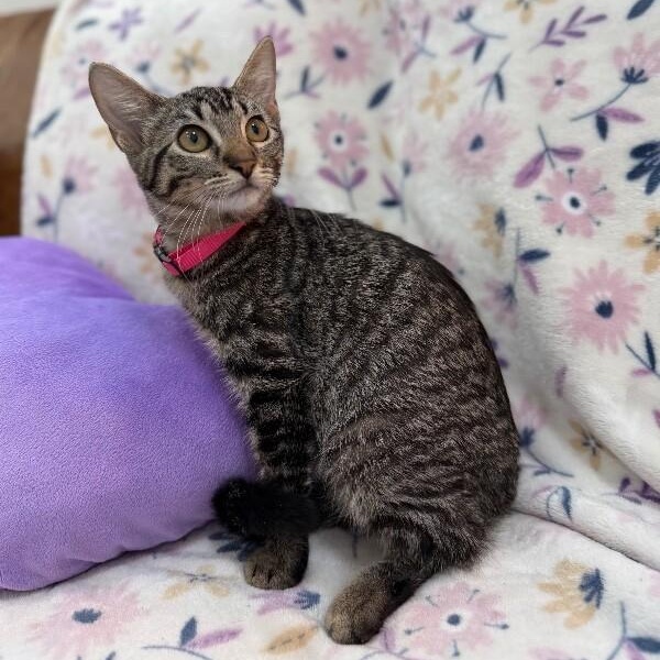 Cameron Clark — thumbnail 3