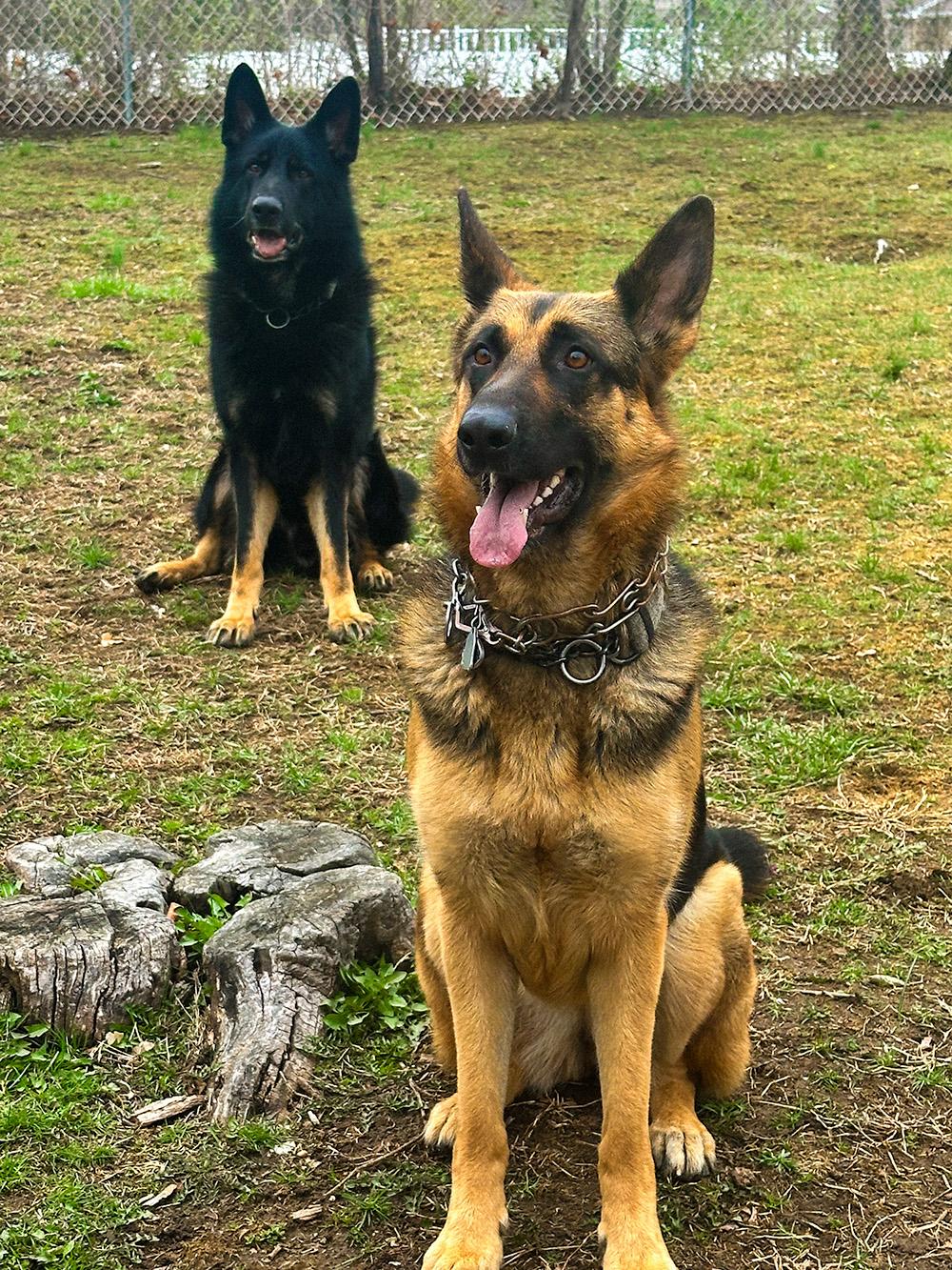 Queen (and King)