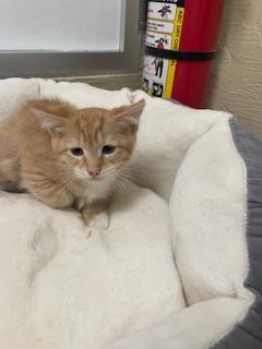 London — thumbnail 6