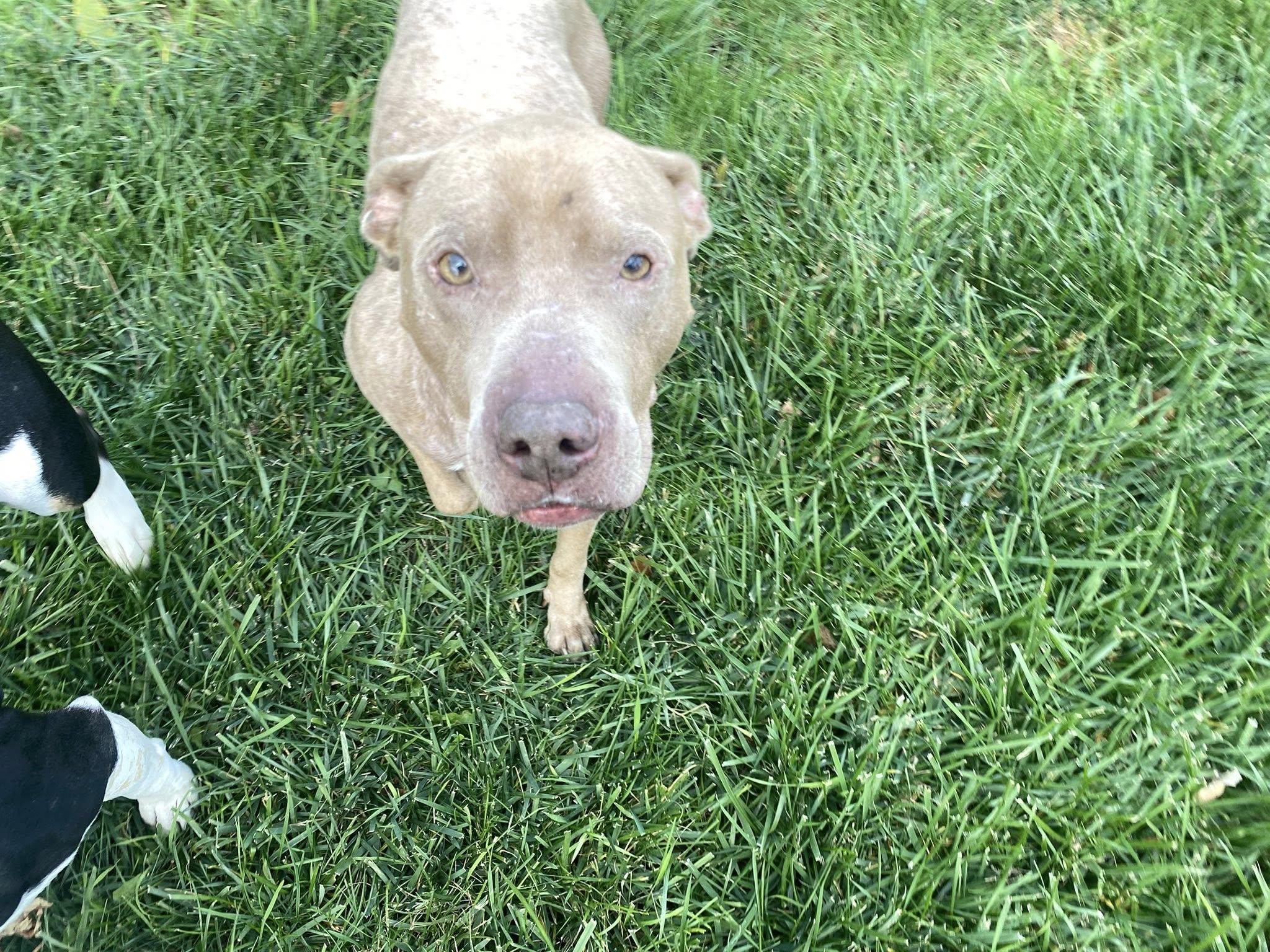 Sullivan thumbnail 4