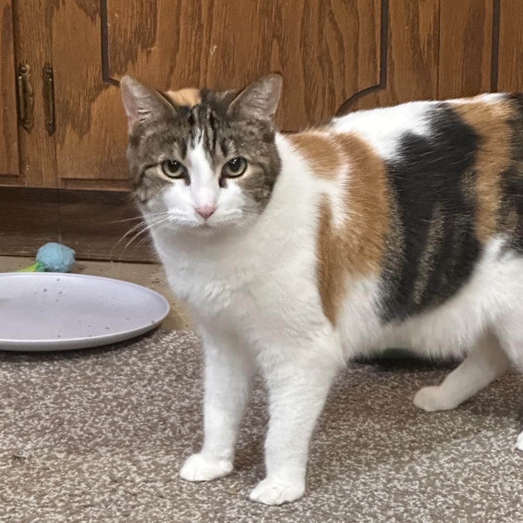 Olivia — thumbnail 3