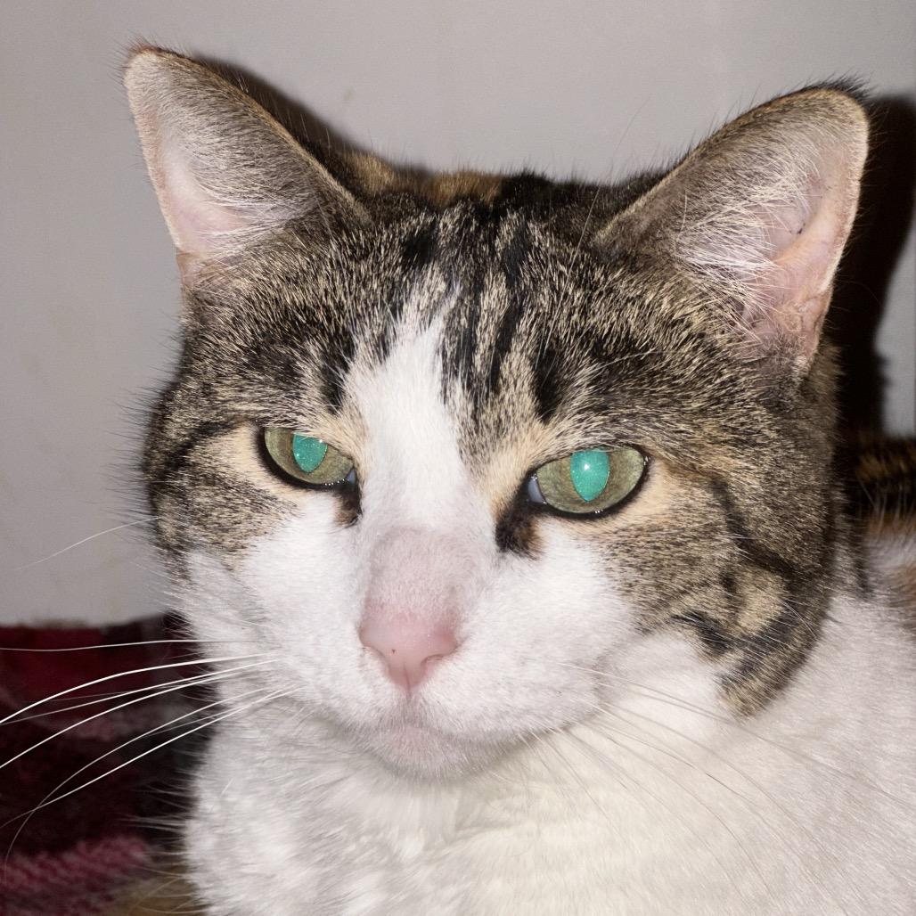 Olivia — thumbnail 5