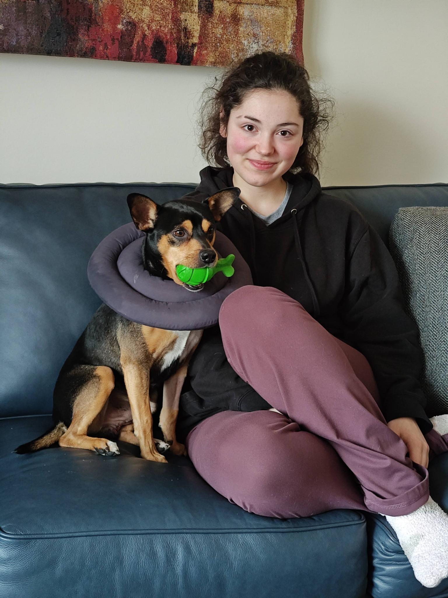 Enlarge Chumley, a ADOPTABLE mixed breed in Albany, NY image 4/4