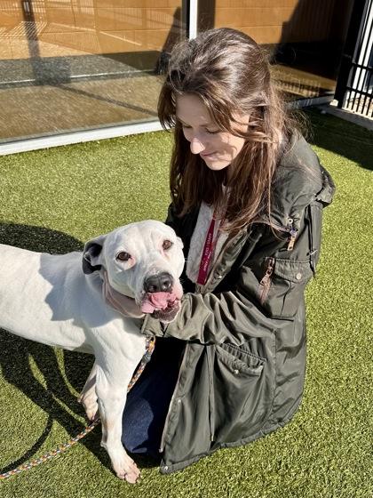 Enlarge Wanikya, a Adoptable mixed breed in Wichita, KS image 2/3