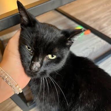 Zeus — thumbnail 3