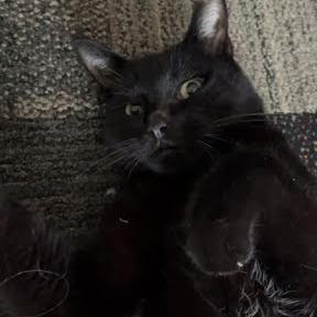 Zeus — thumbnail 5