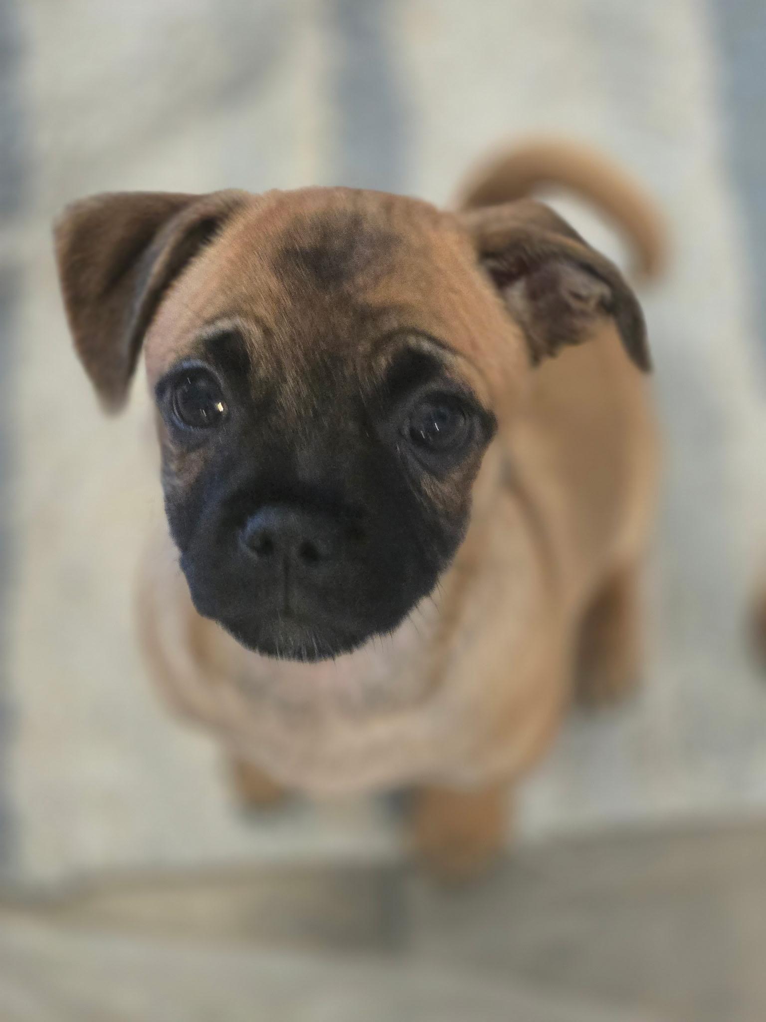 Lola photo 2