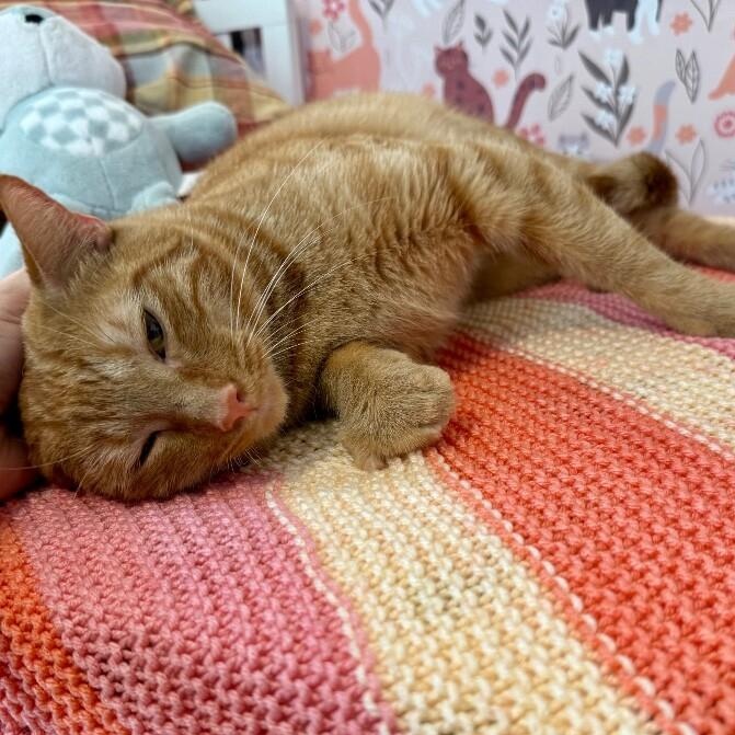 Leo the Lion — thumbnail 3