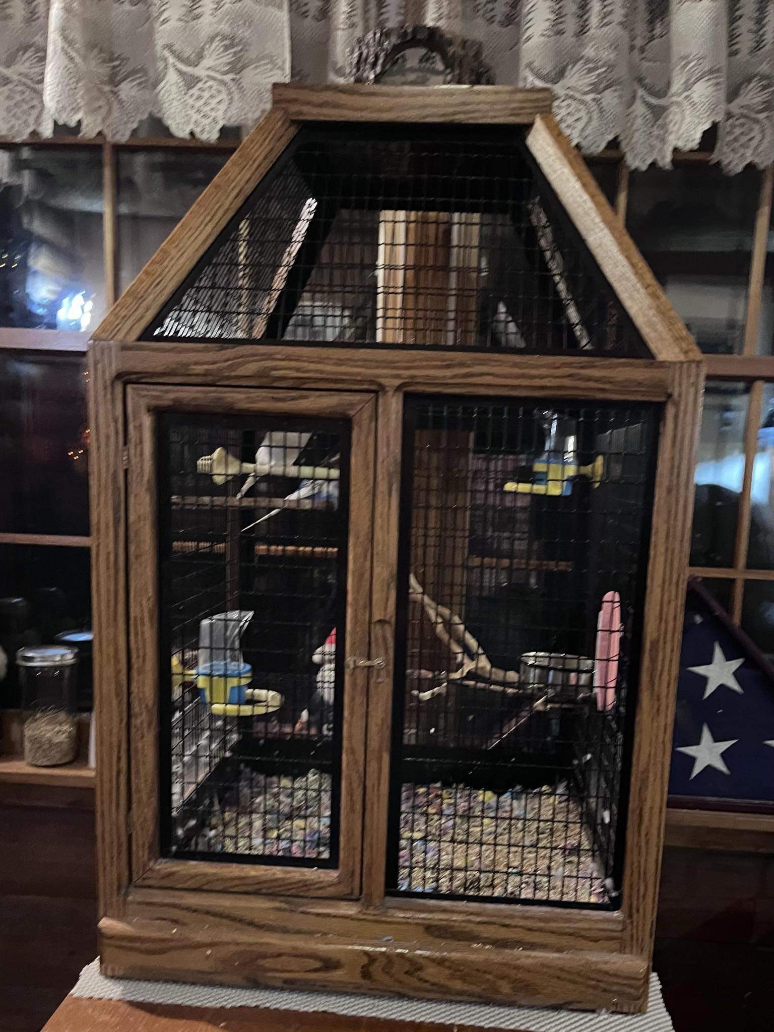 Babe, Sonny & Cher, a Adoptable Parakeet (Other) in Andover, CT image 3/3