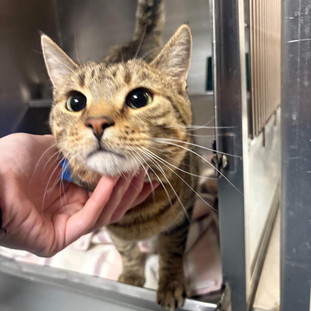 Larry — thumbnail 2