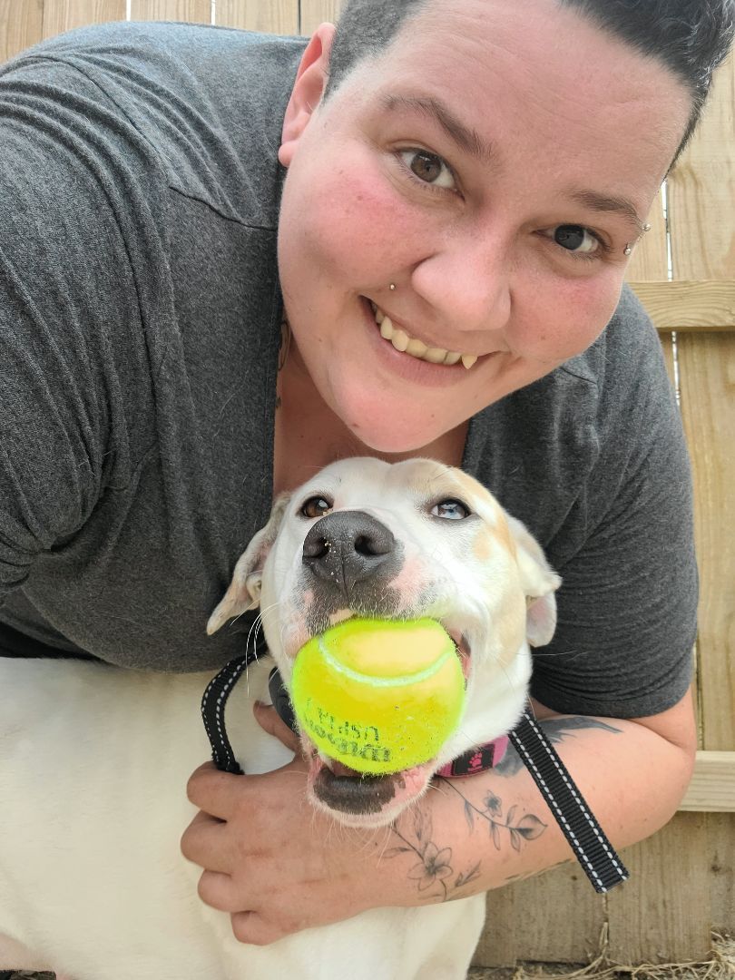 Enlarge ROXIE, a Adoptable mixed breed in TULSA, OK image 11/12
