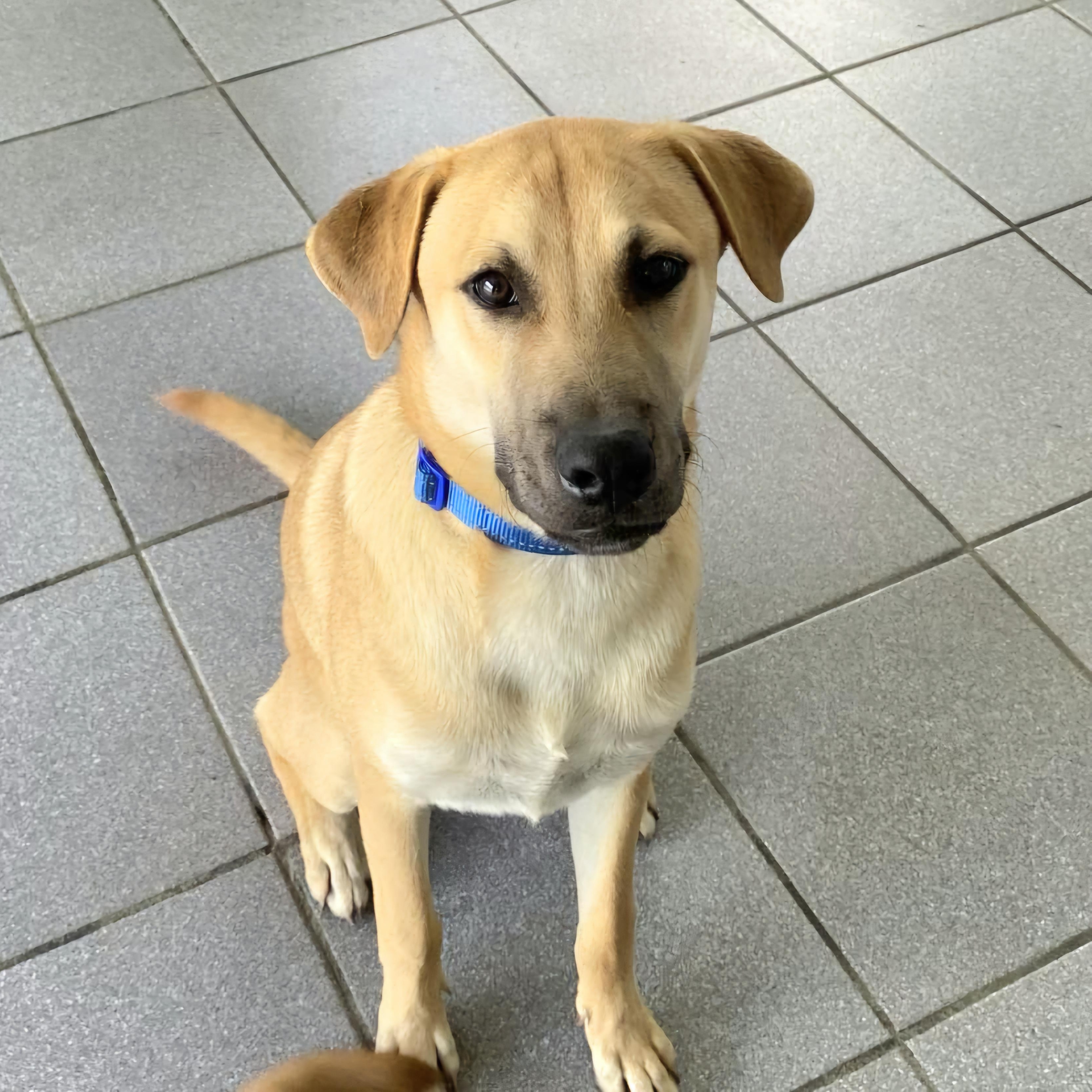 Coco Puff "love Is thumbnail 5