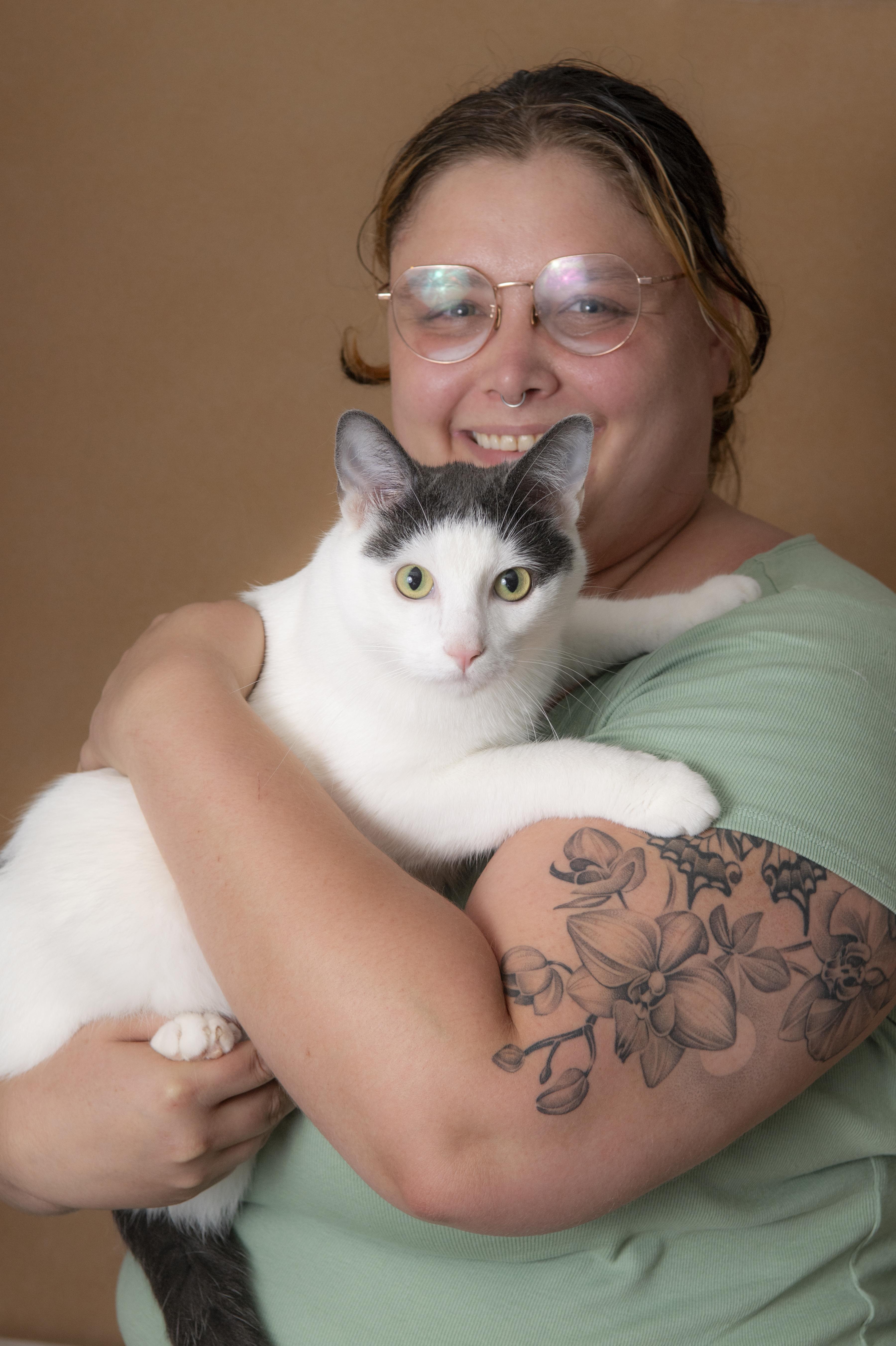 Eddie, a ADOPTABLE Domestic Short Hair in Chicago, IL image 2/3