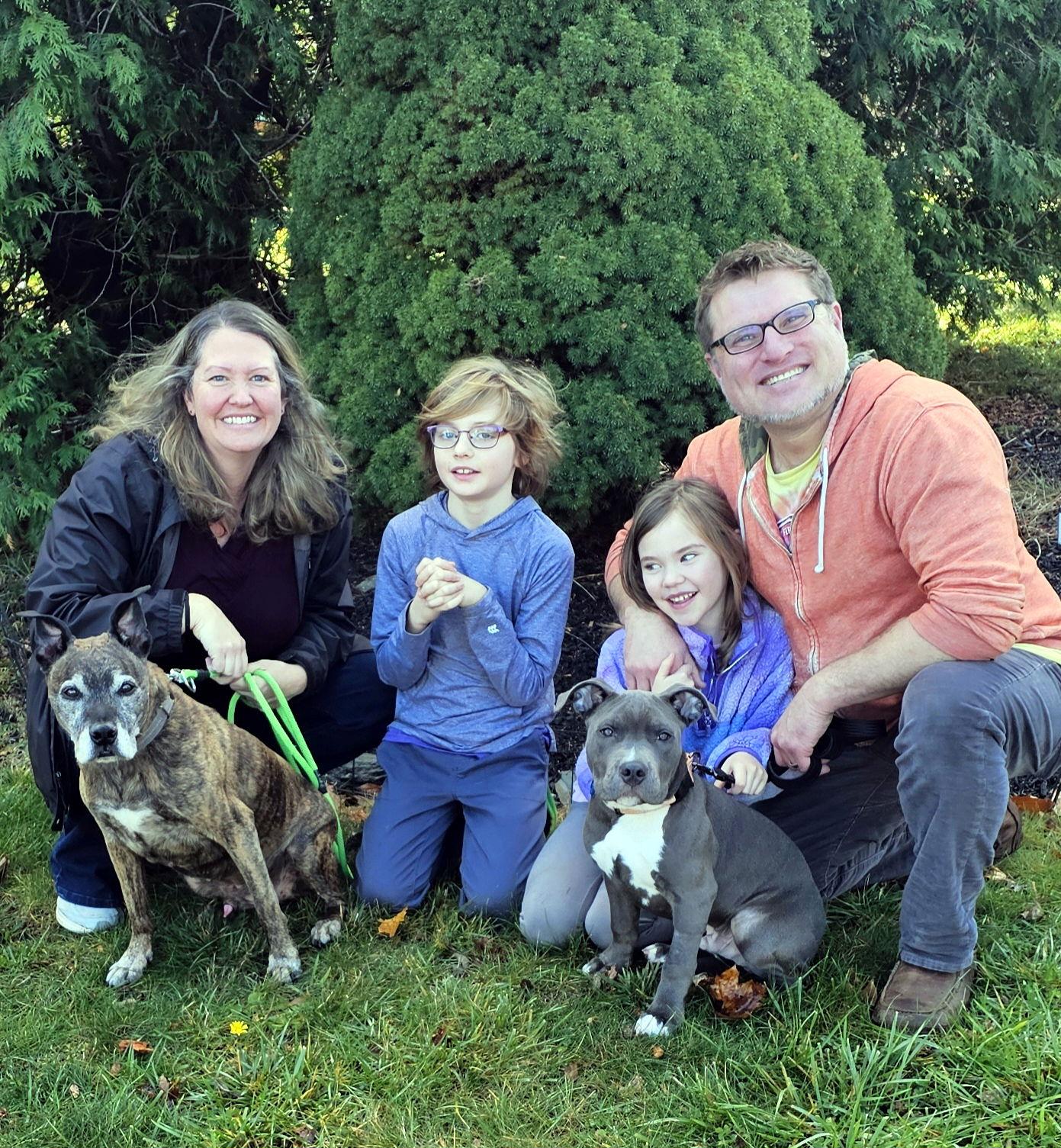 McIntosh, a Adopted Pit Bull Terrier in Framingham, MA image 2/3