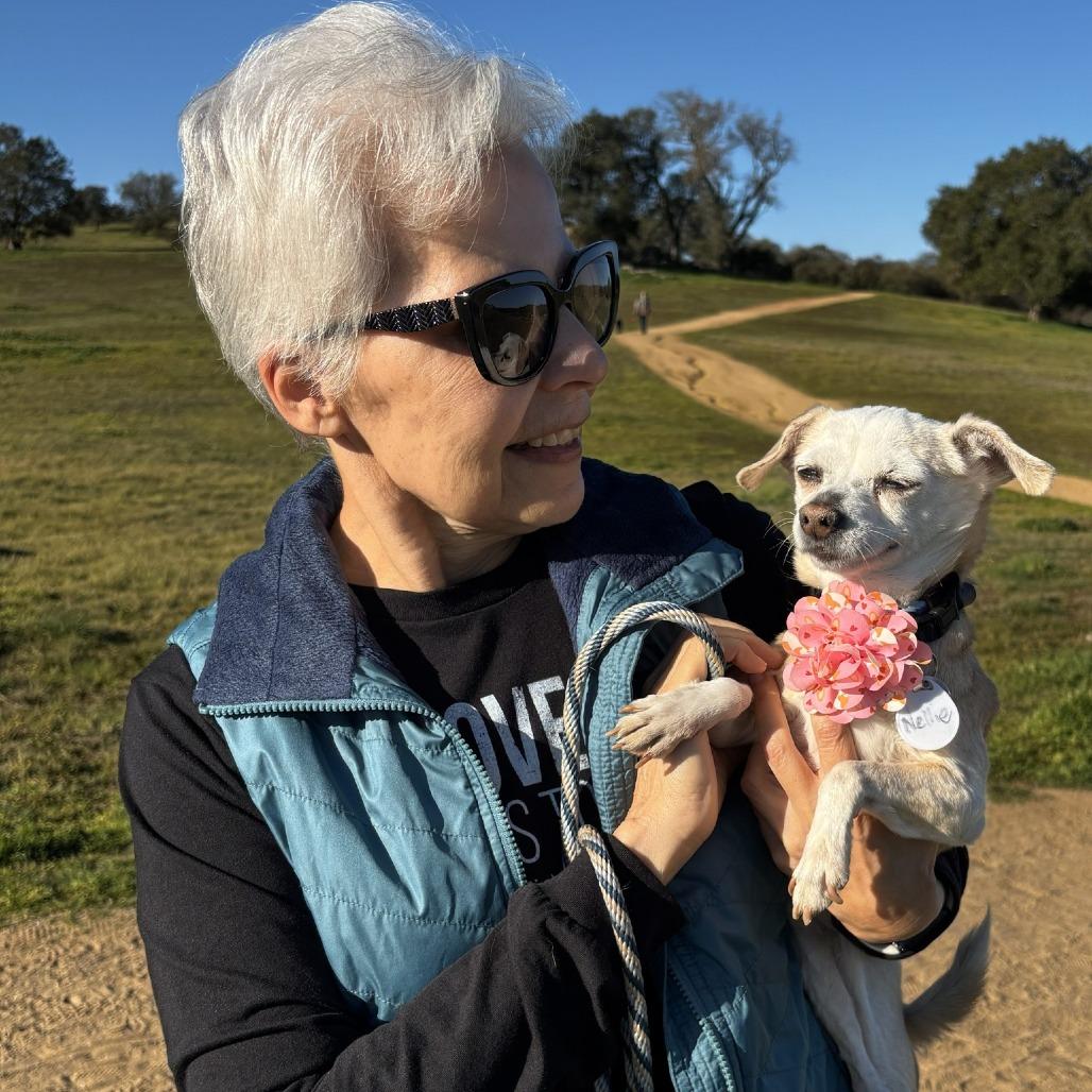 Nellie — thumbnail 3