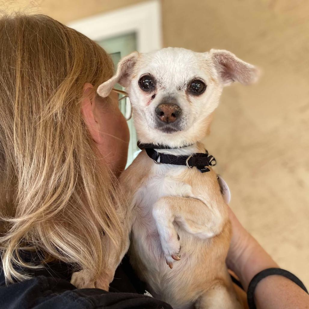 Nellie — thumbnail 5