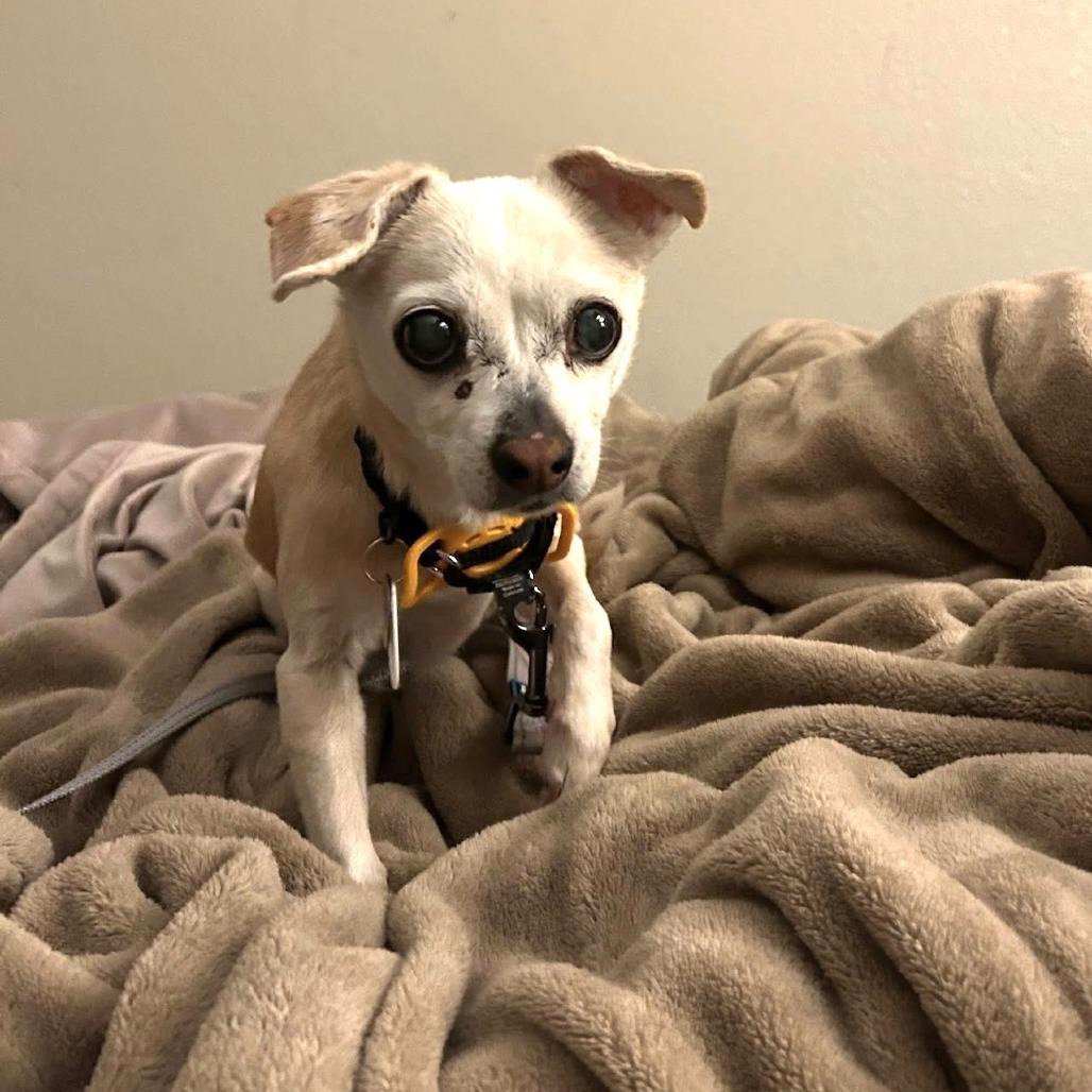 Nellie — thumbnail 6