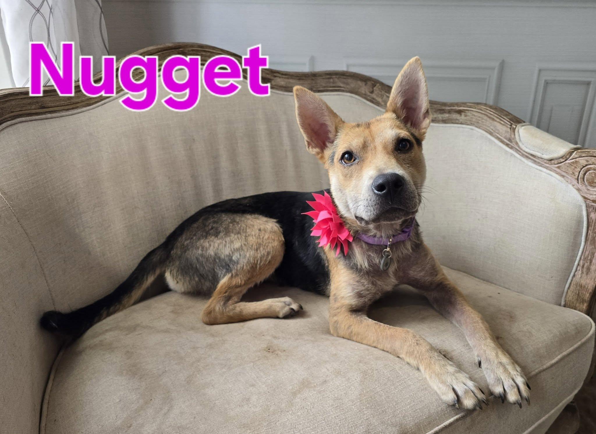 Nugget