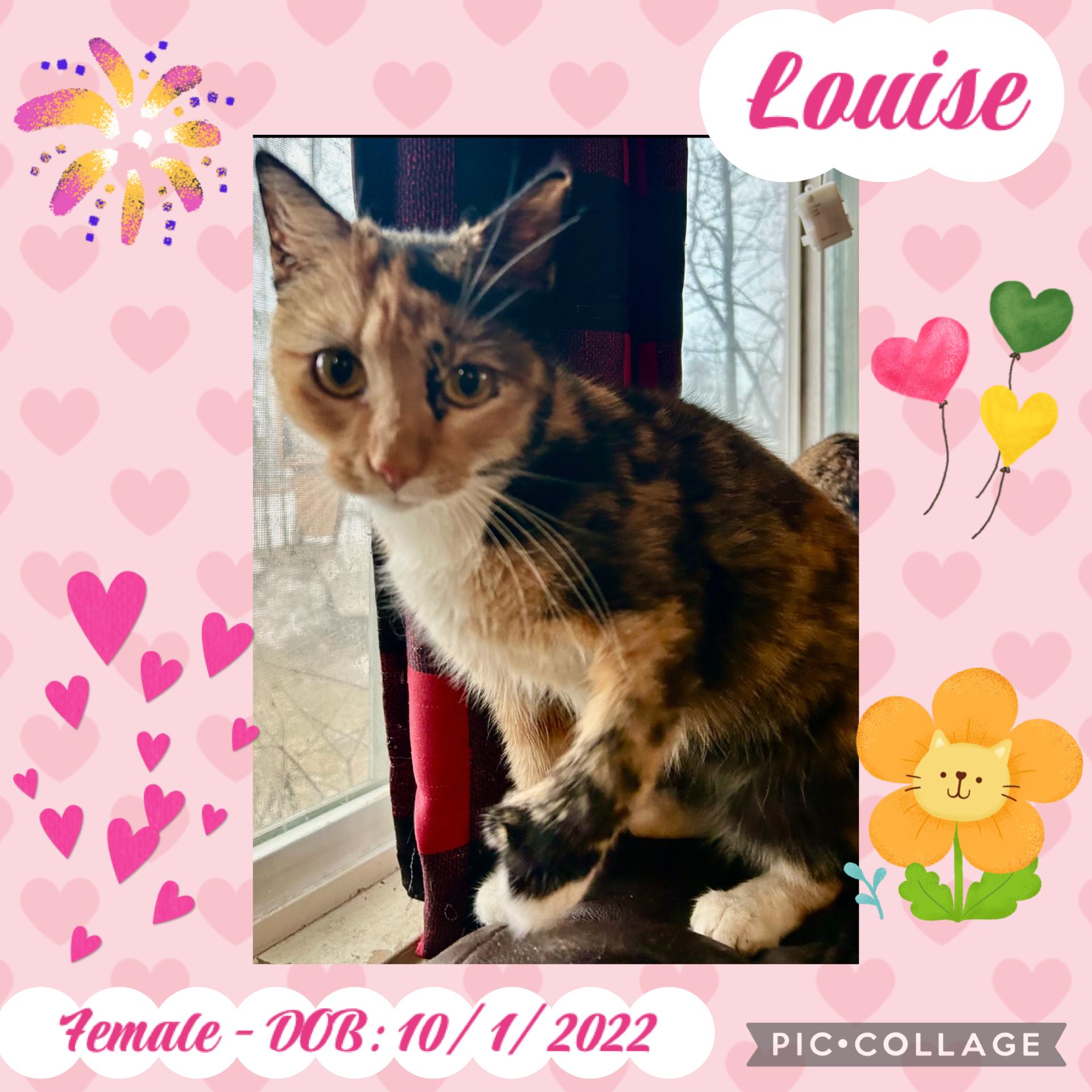 Louise