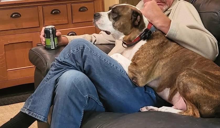 Mugsy — thumbnail 3