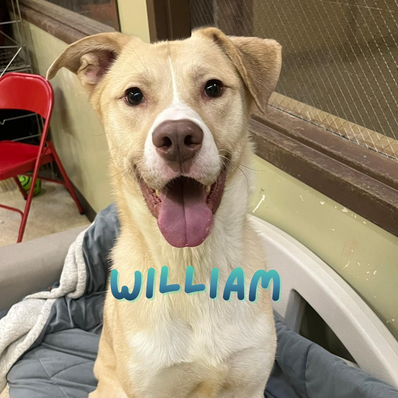 William — thumbnail 6