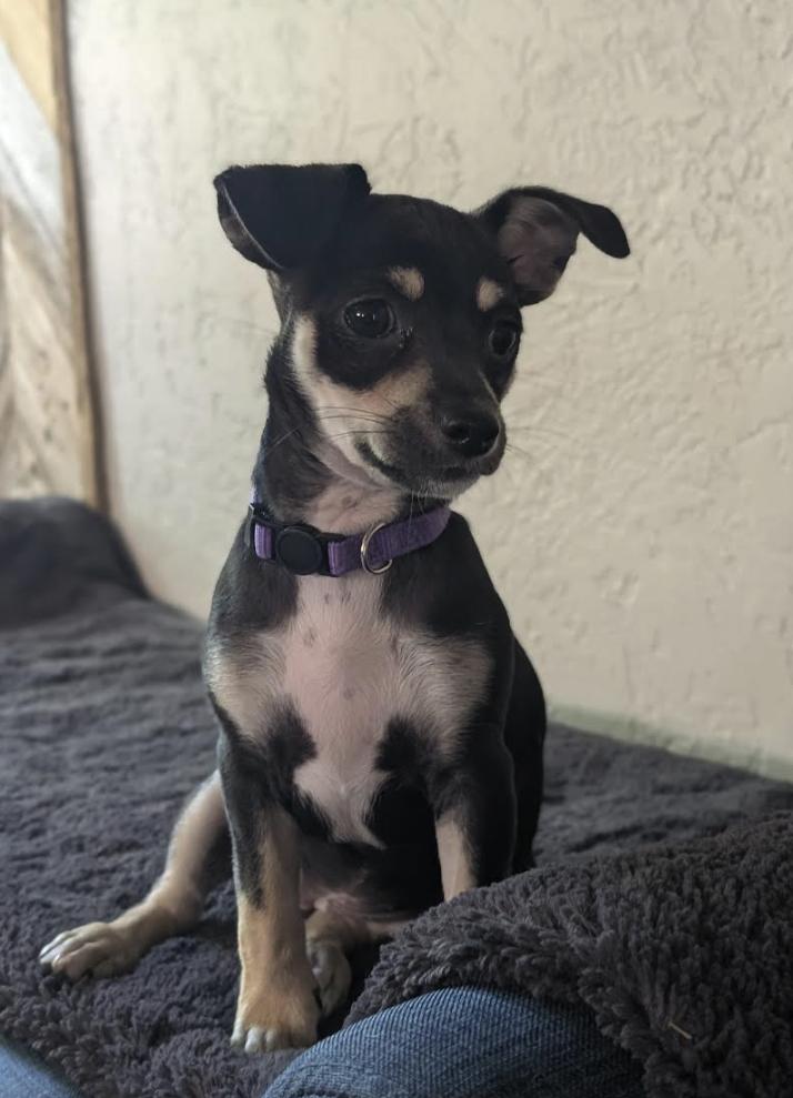 Mya