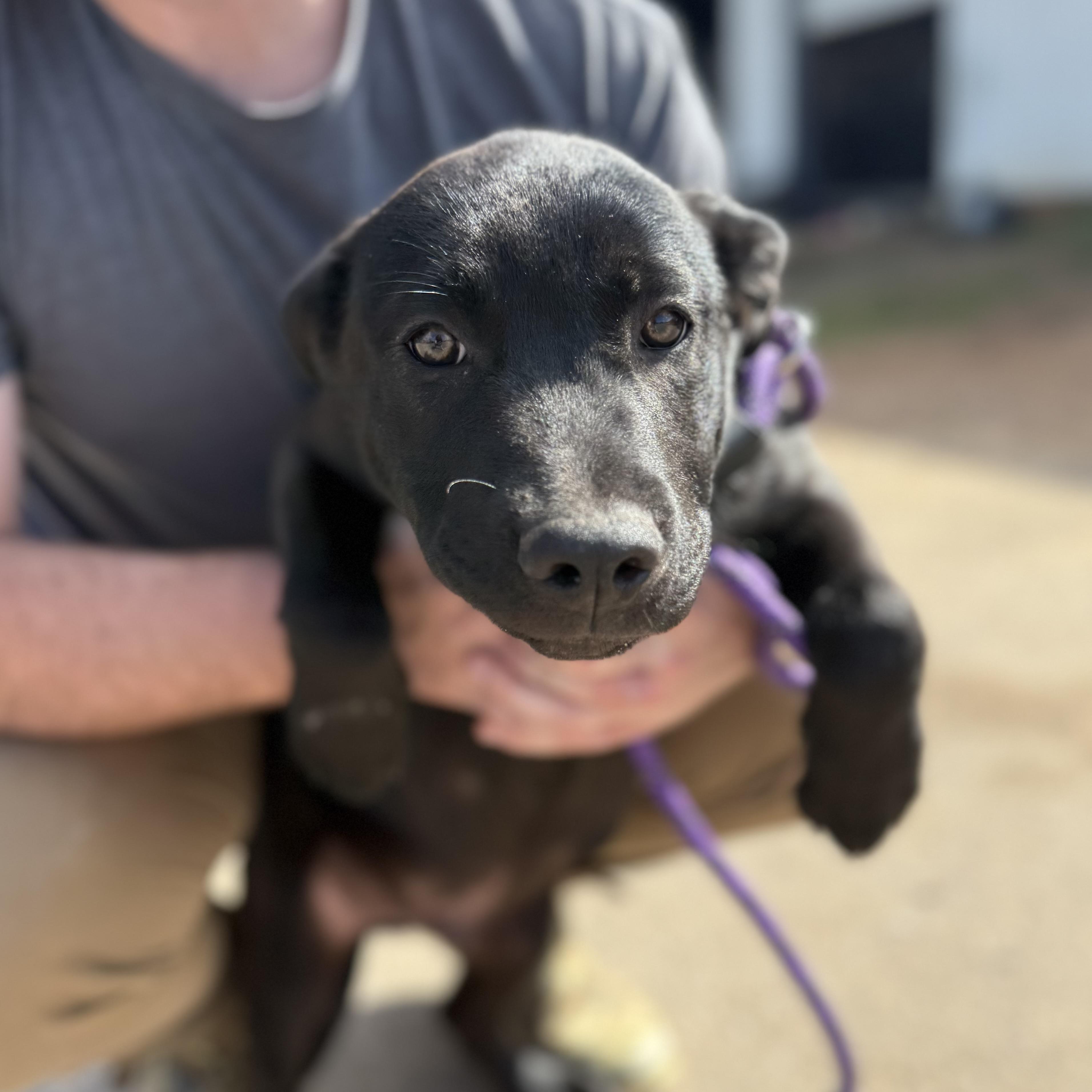 Bucket — thumbnail 2