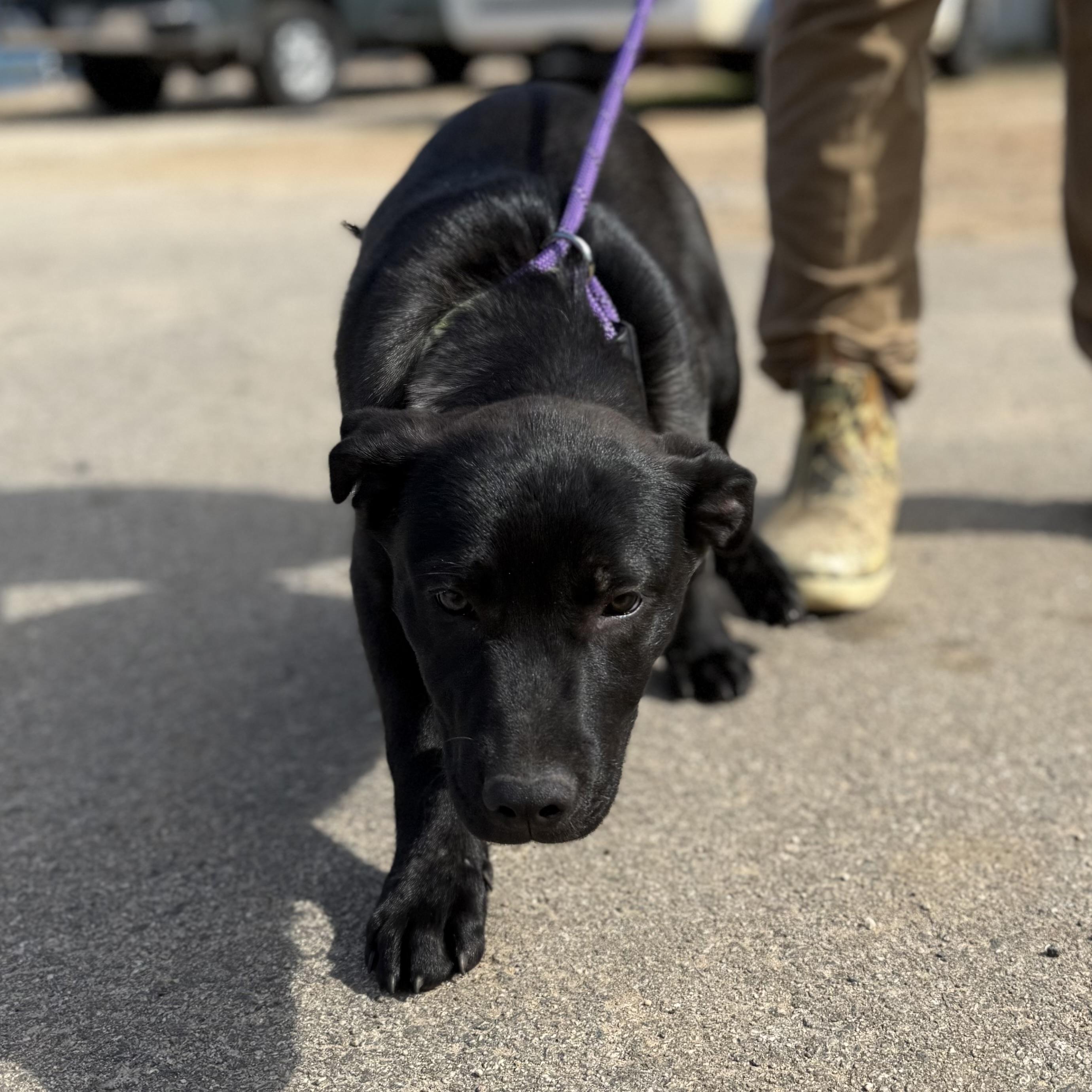 Bucket — thumbnail 6