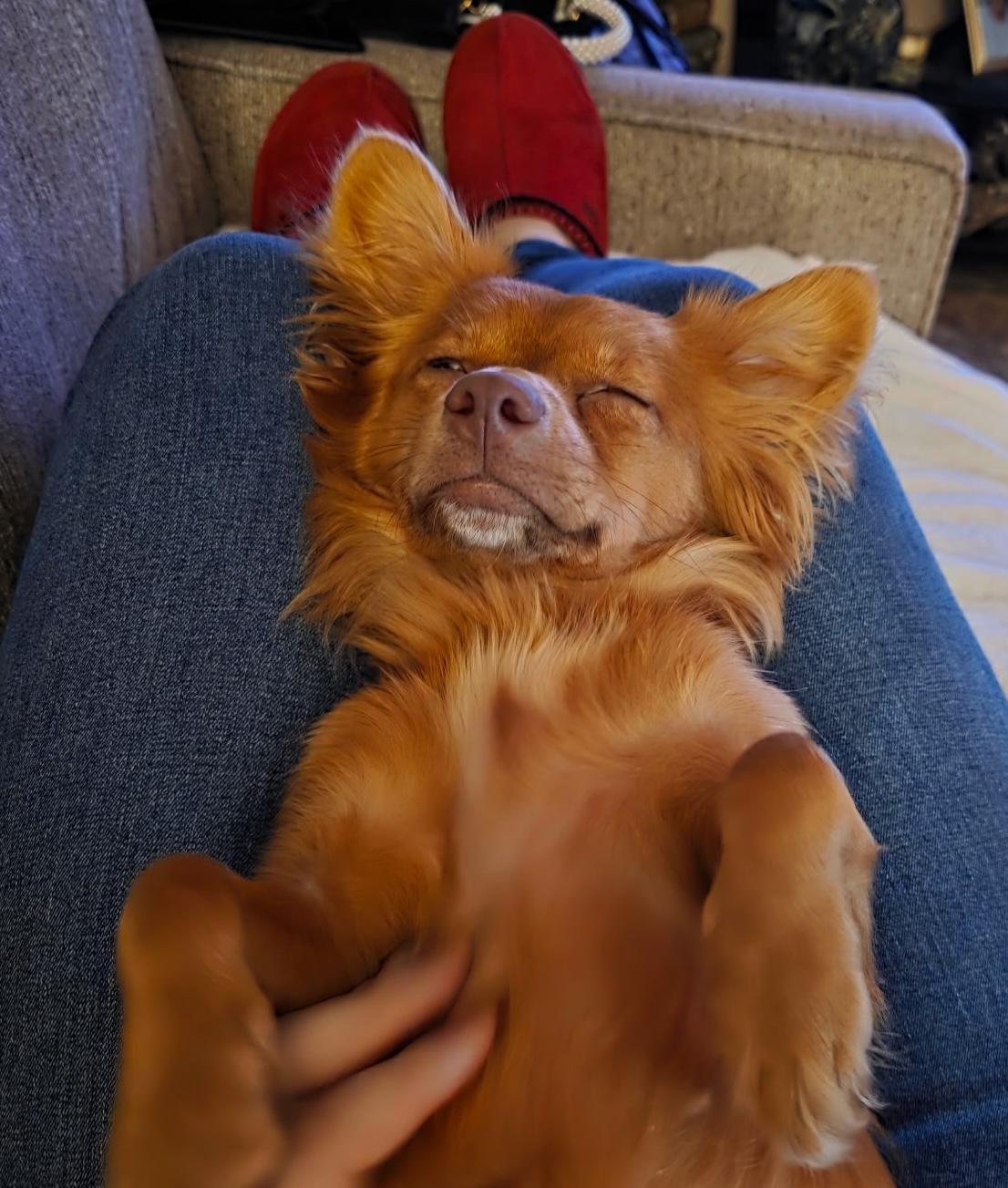 Penny