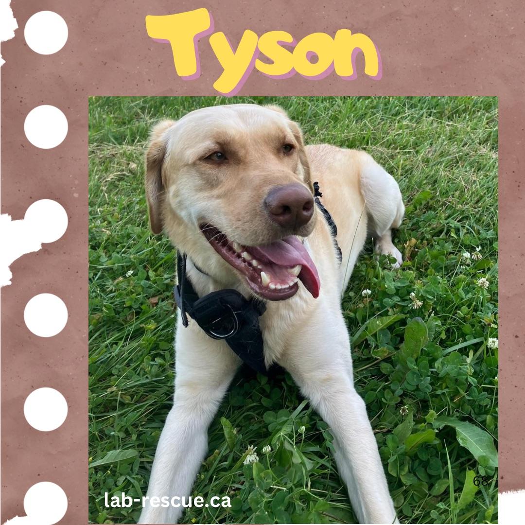 Tyson