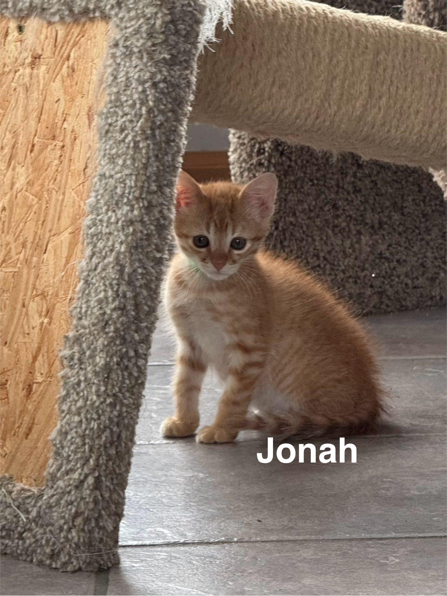 Jonah
