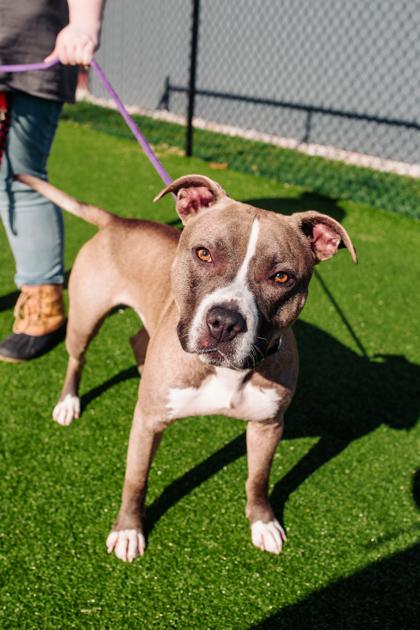 Gomez fka Trigger — thumbnail 2