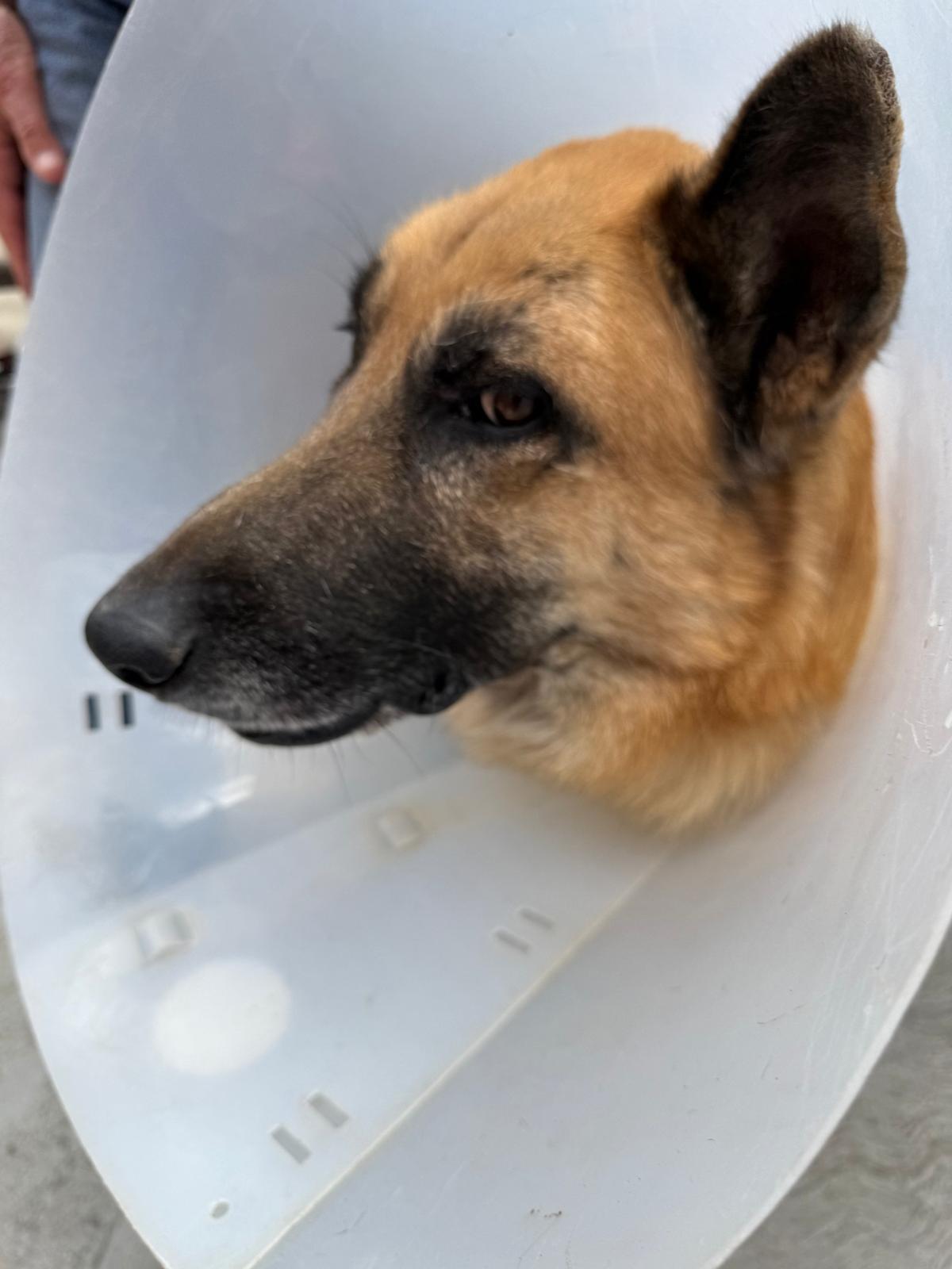 Hero — thumbnail 2