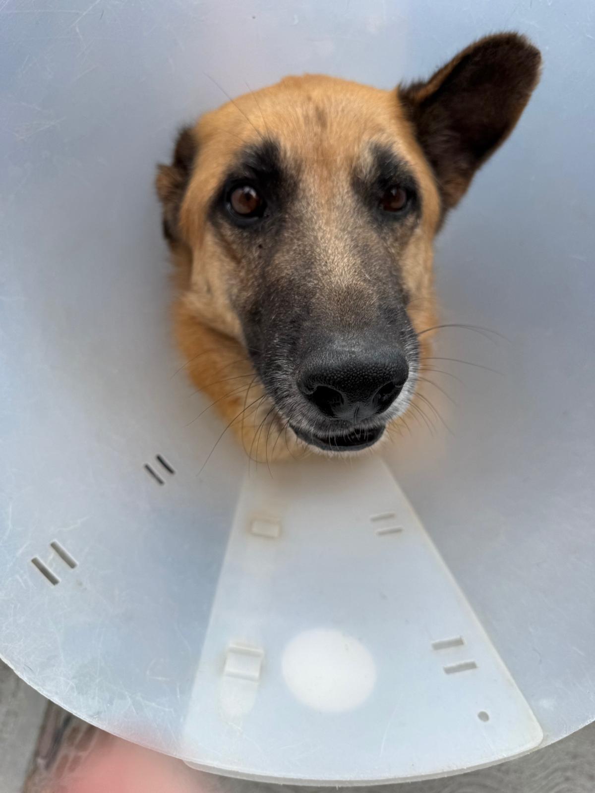 Hero — thumbnail 3