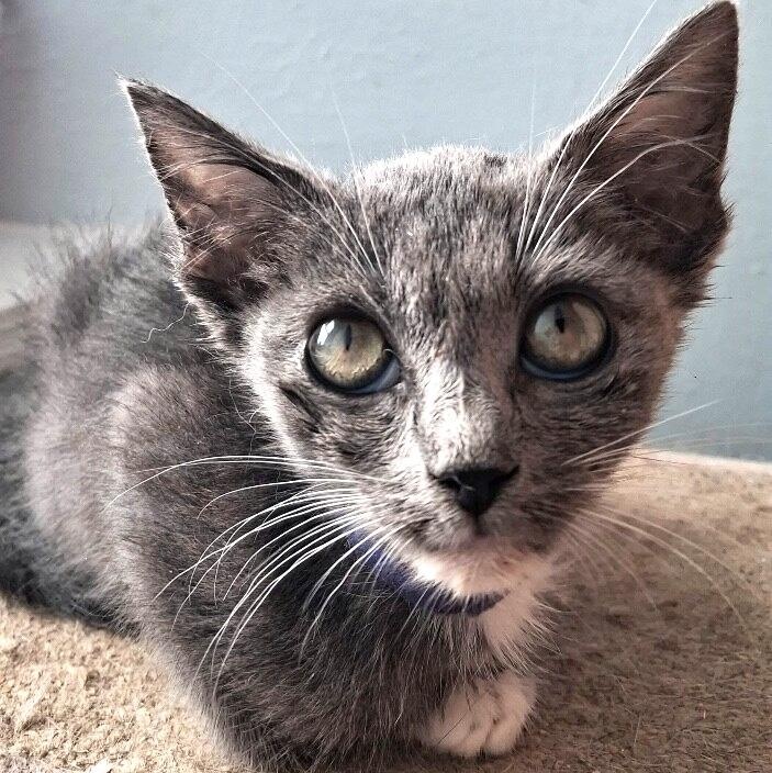 Joanne Marie TCHS — thumbnail 3