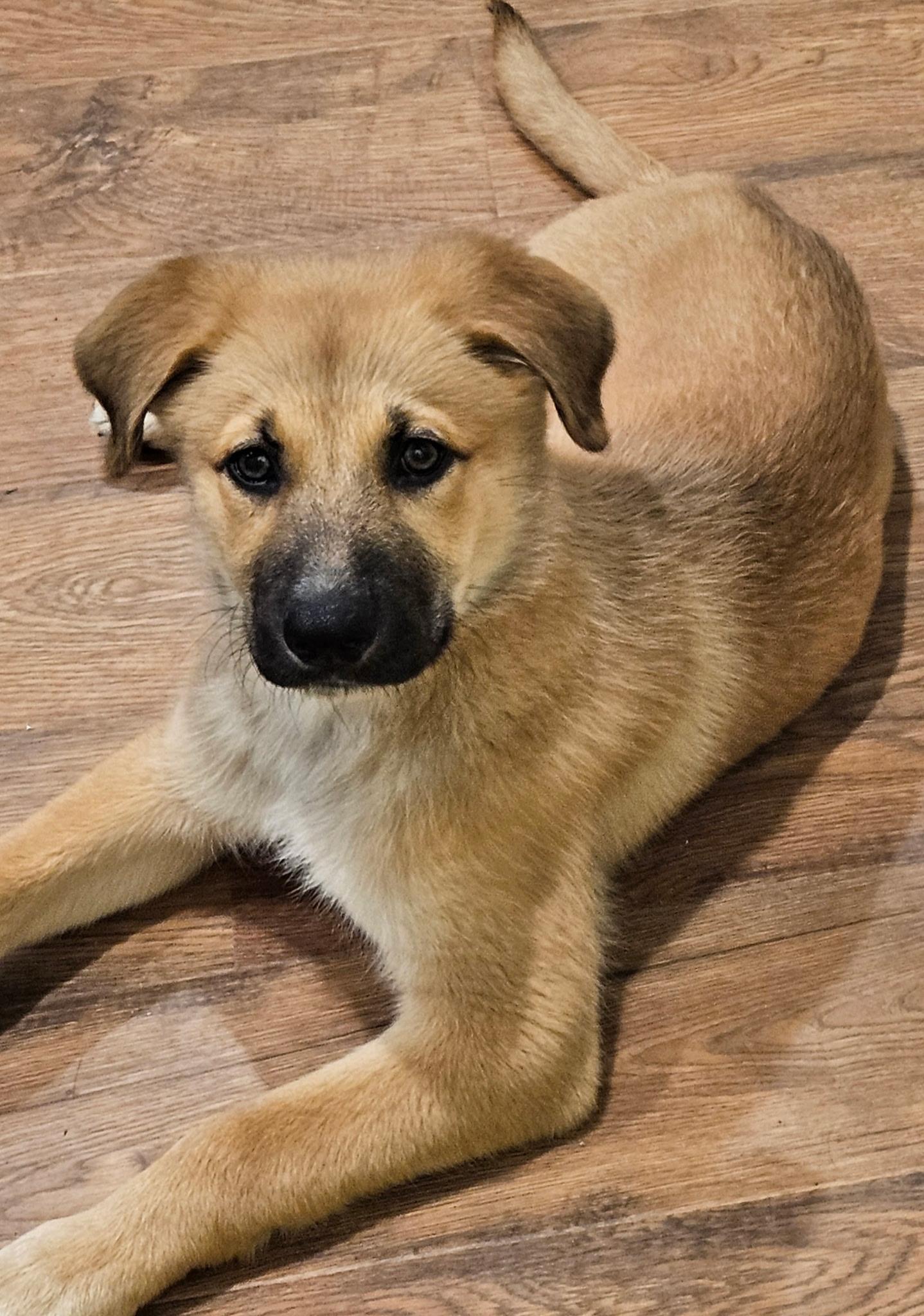 Nora - part of the Freida Fam!