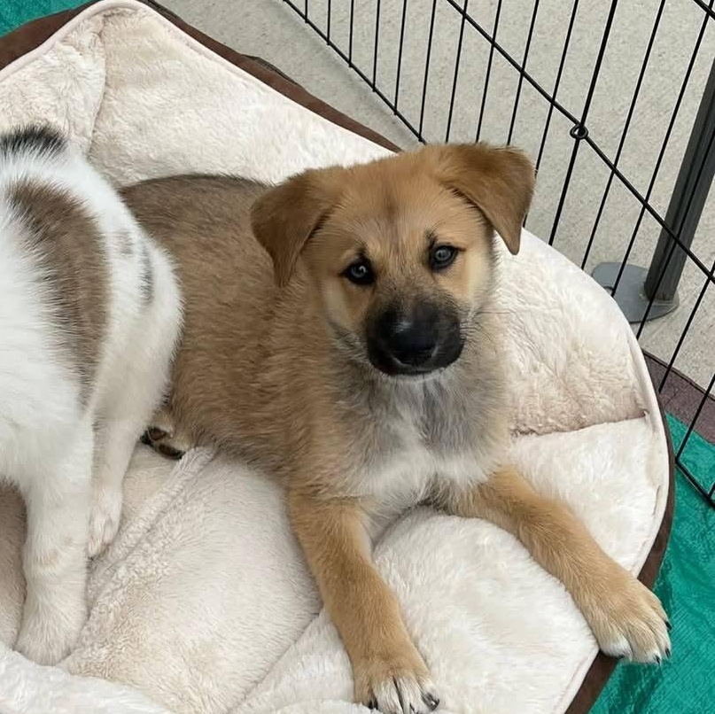 Nora - part of the Freida Fam!