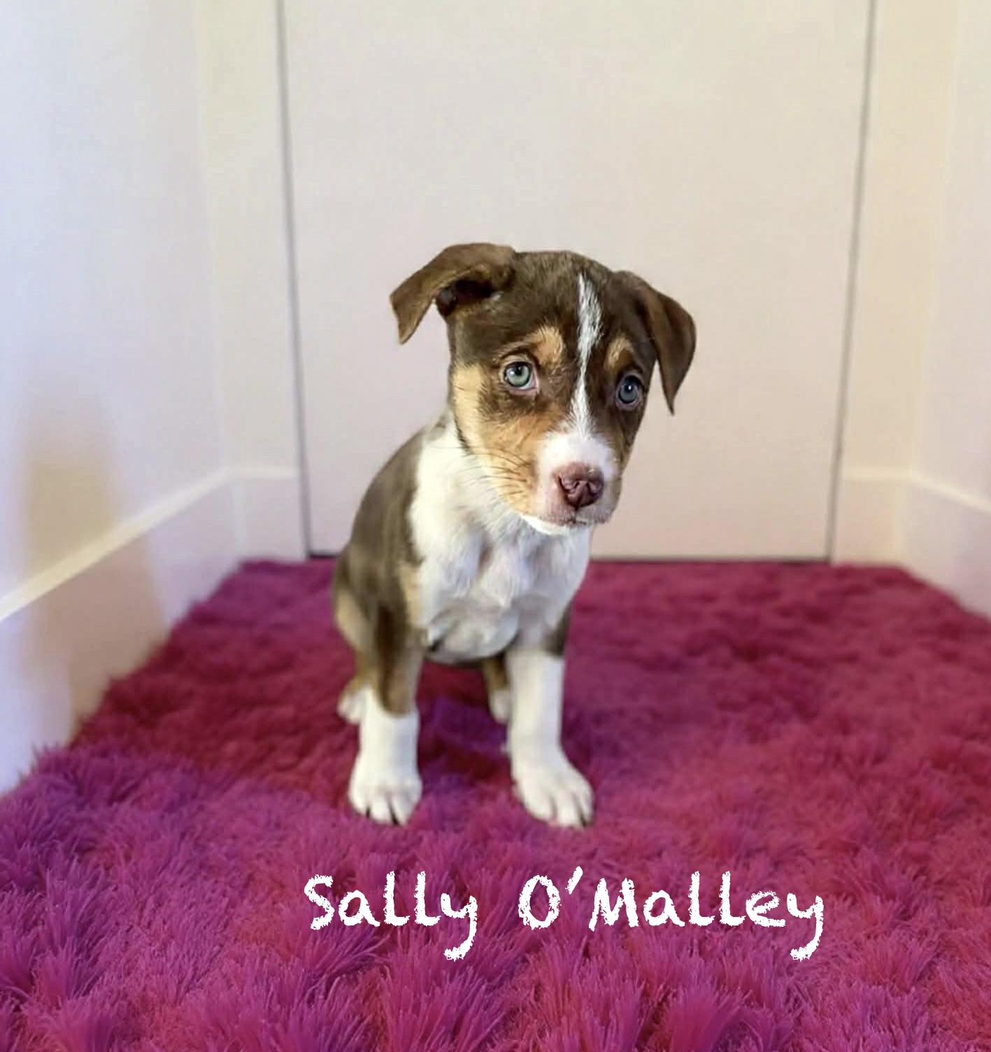 Sally O’malley thumbnail 2