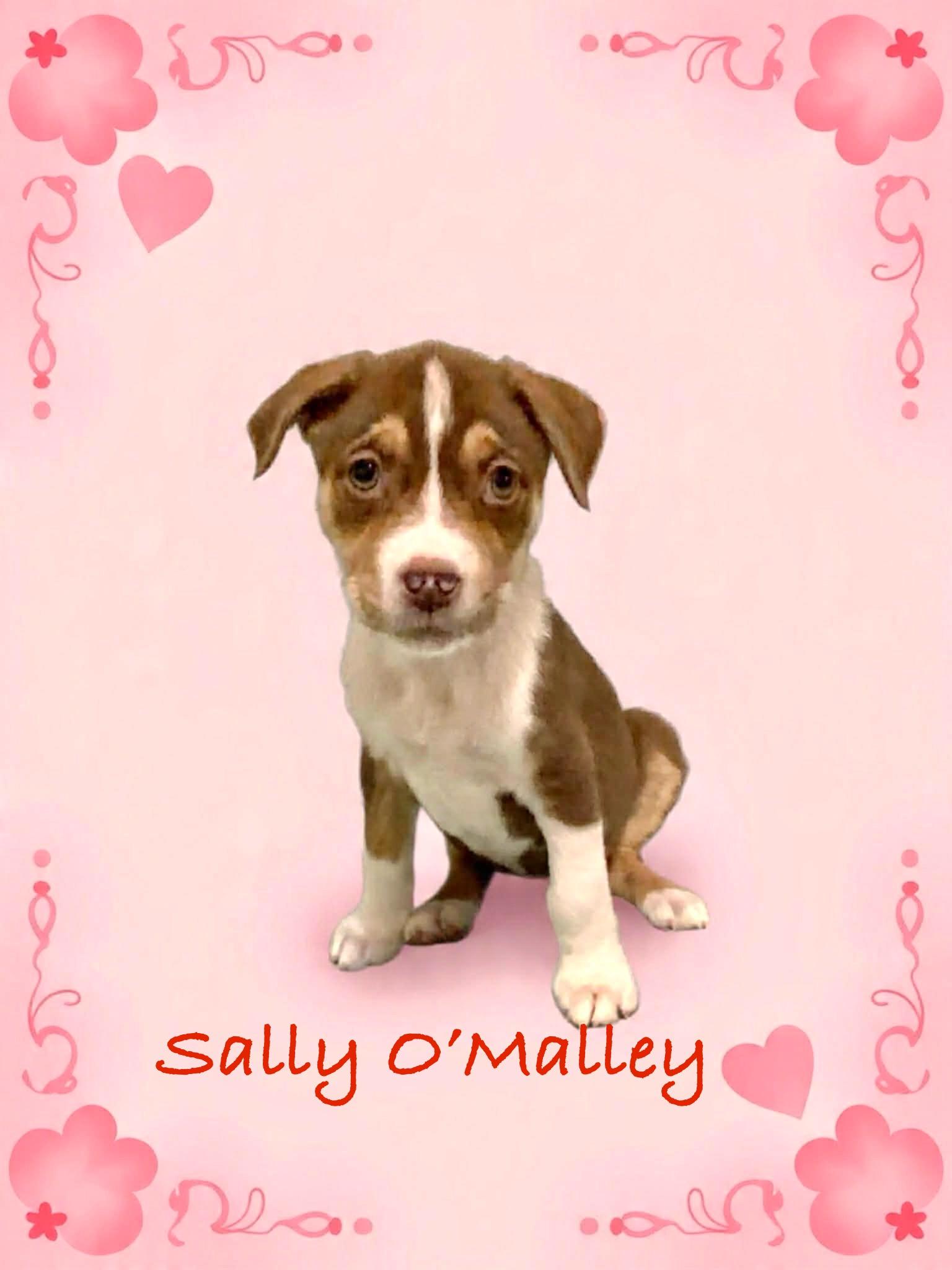Sally O’malley thumbnail 3
